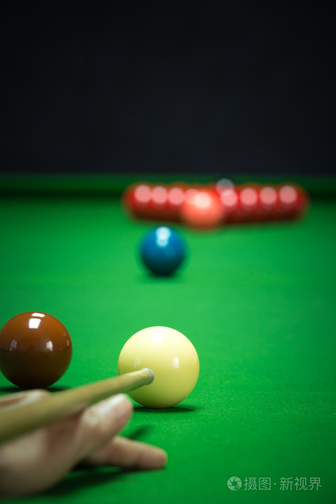 执教生涯 执教生涯